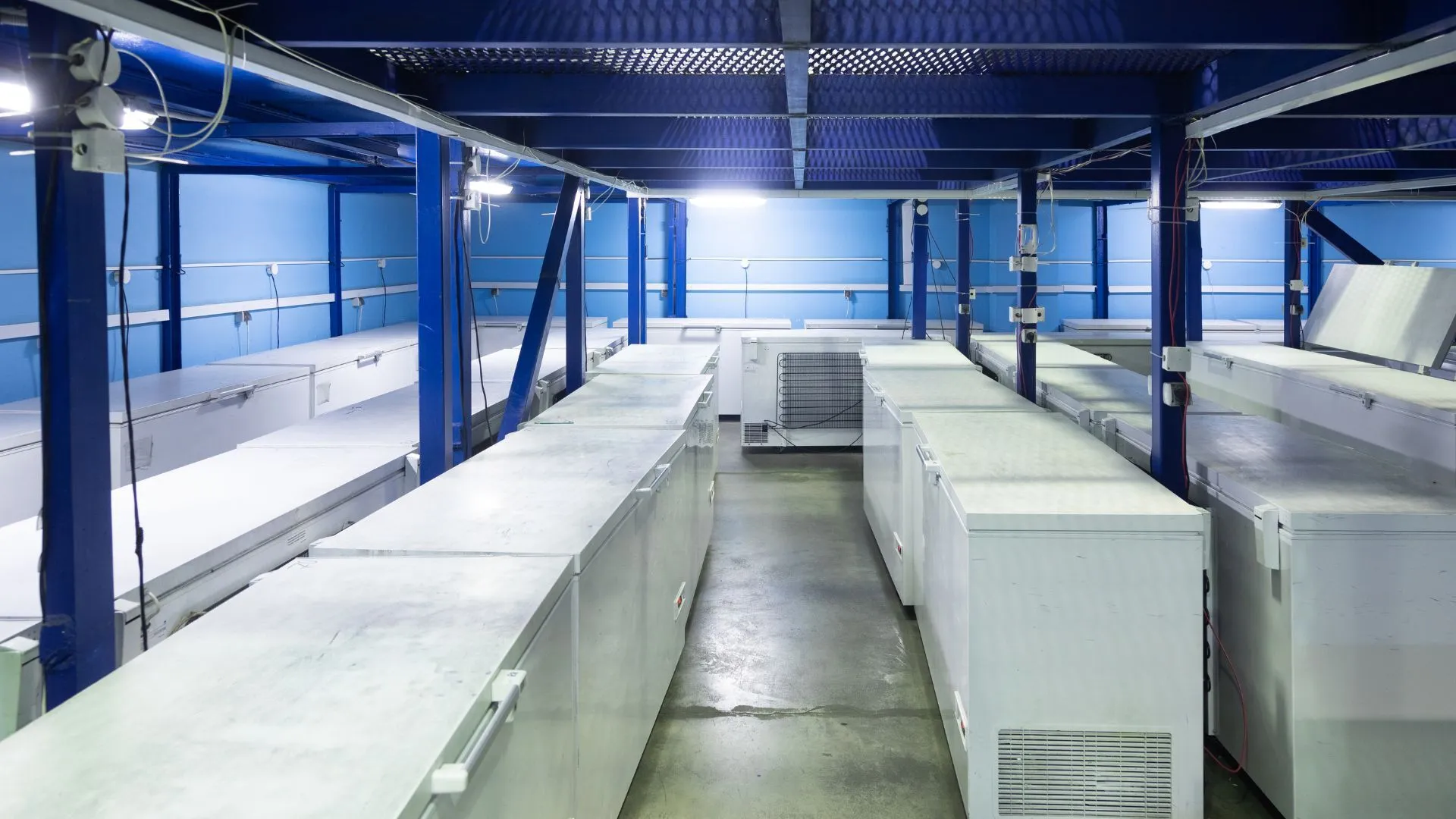 powerful-walk-in-freezer-repair