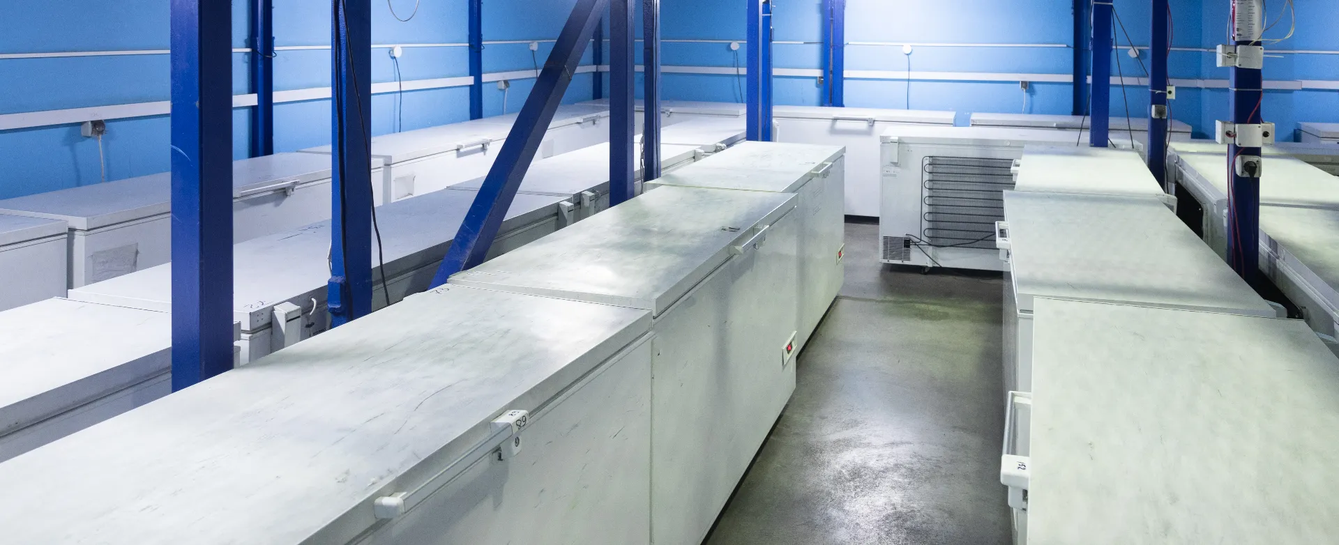 walk-in-freezer-repair