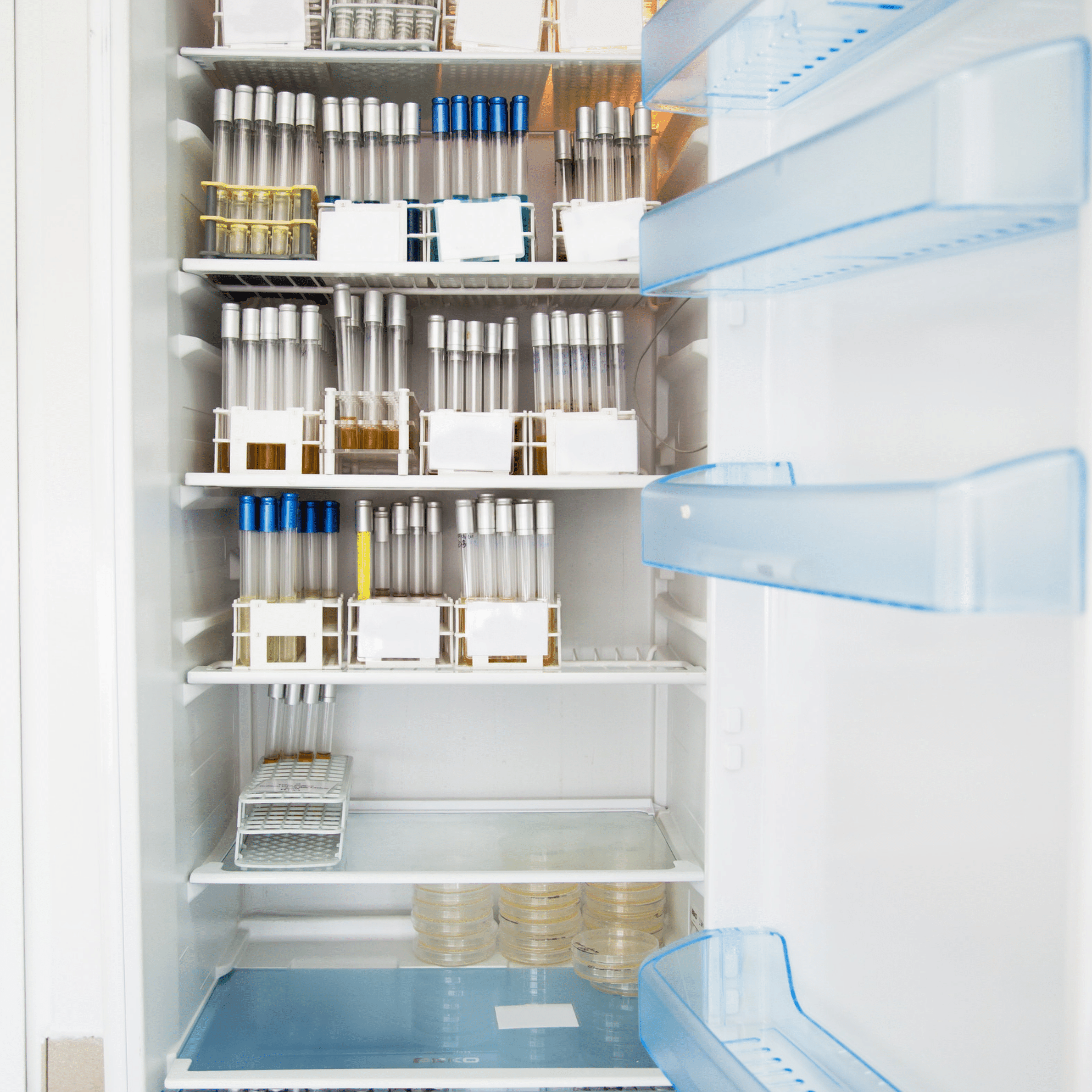 what is the required temperature range for medication fridges